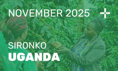 QHC Plus Club: November 2025