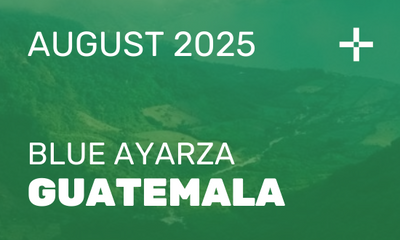 QHC Plus Club: August 2025