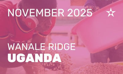 QHC Premium Club: November 2025