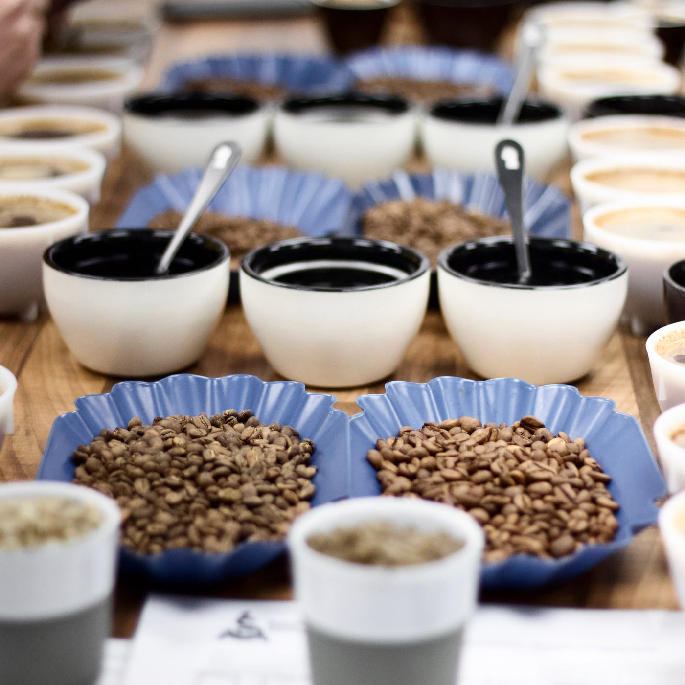 Coffee Tasting Experience