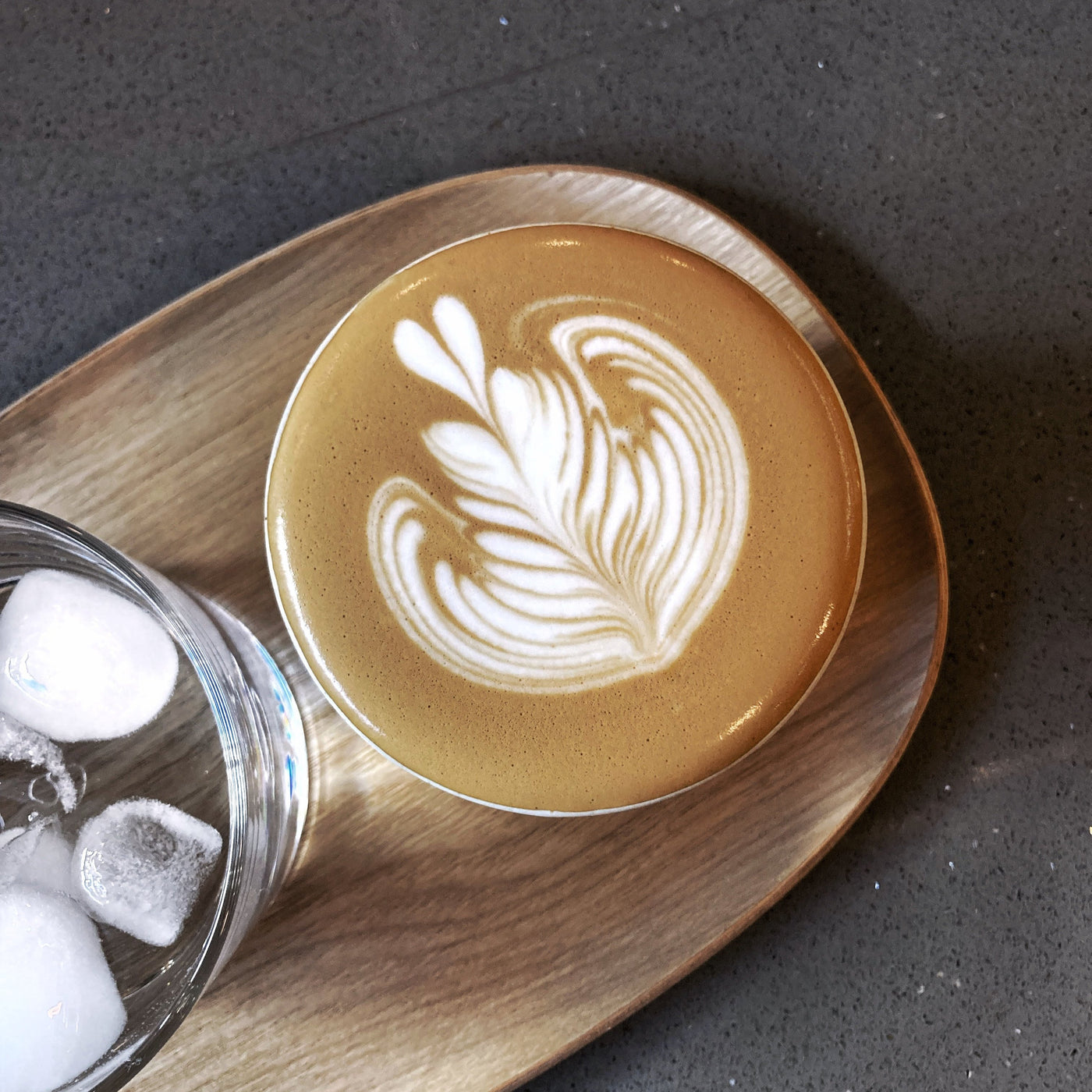 Barista Course • Introduction to Latte Art